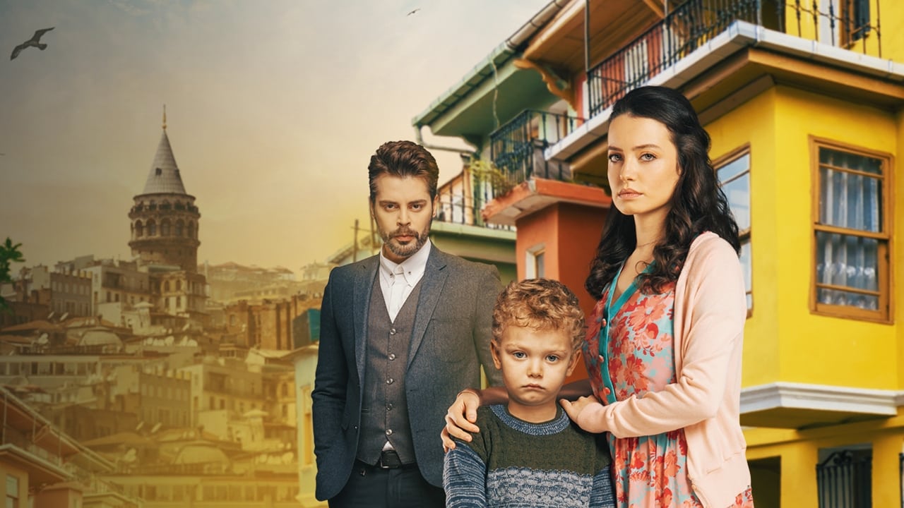 الطيور الجريحة مترجم