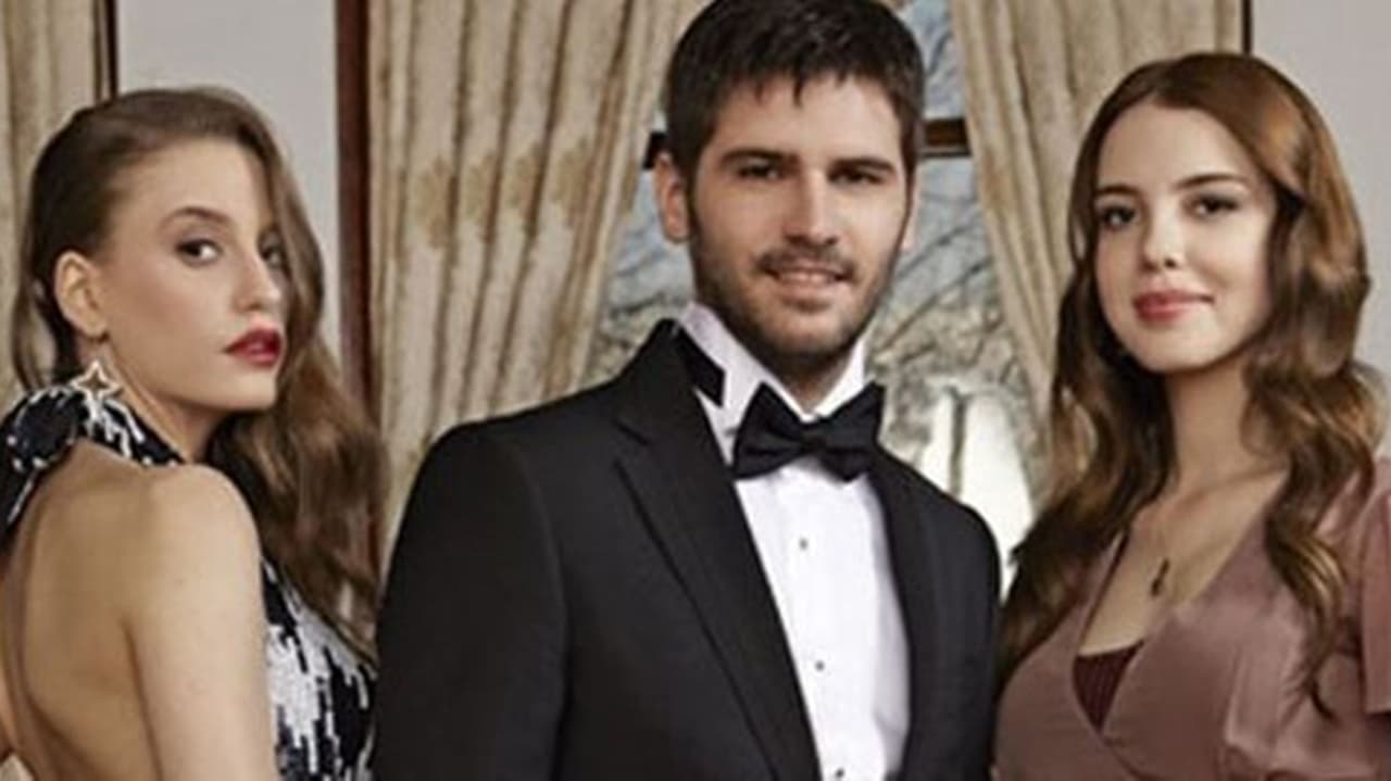 ليلى 2010 (مدبلج)