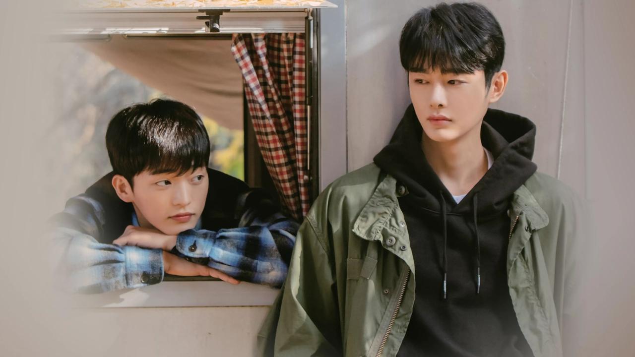 Cherry Blossoms after Winter