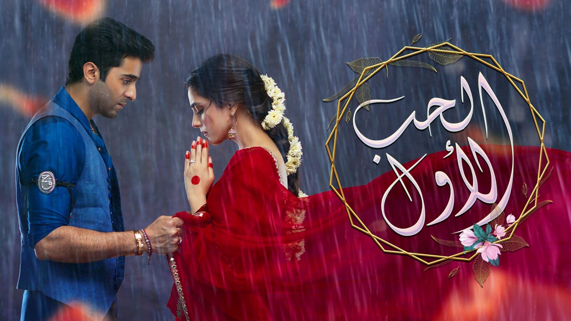 الحب الأول (مدبلج)